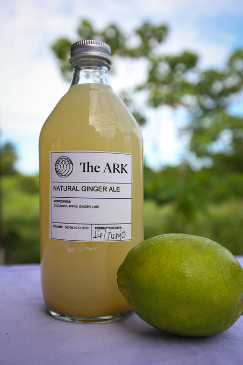 Natural Ginger Ale