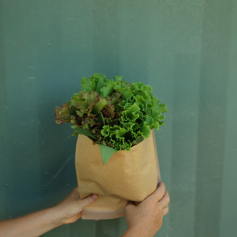 Mixed Greens