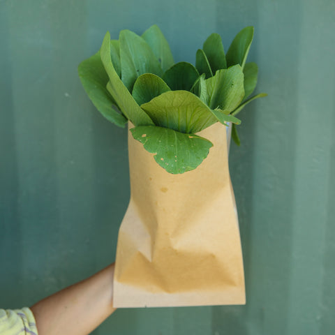 Bok Choi