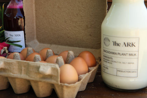 Plant Milk